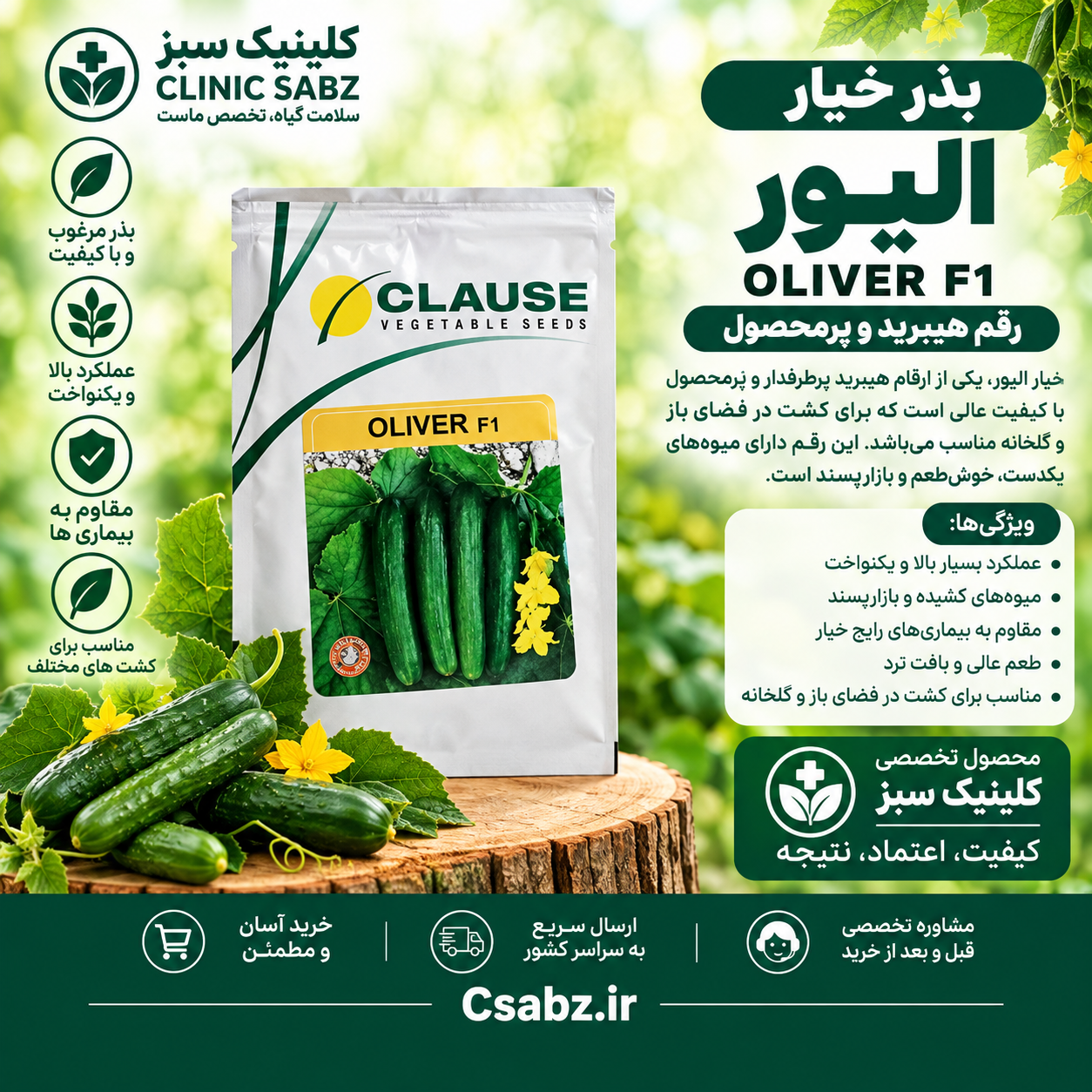 بذر خیار الیور