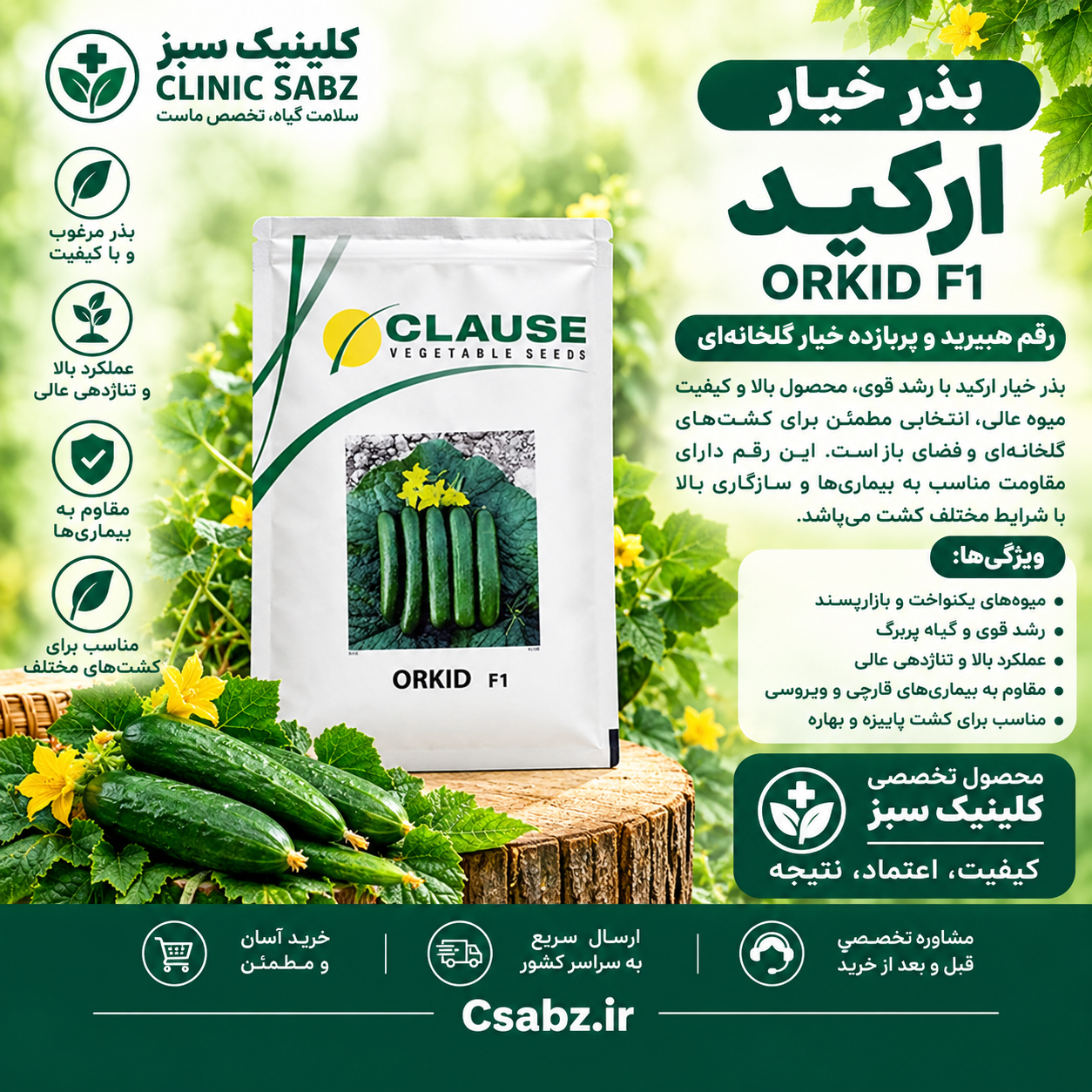 بذر خیار ارکید
